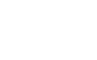 Critical Insight Logo White